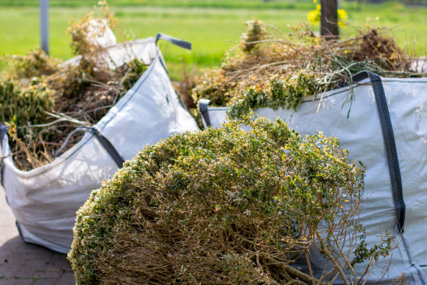 Best Professional Junk Removal  in Springfield, KY