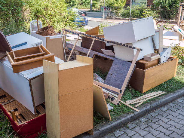Yard Cleanup Services in Springfield, KY