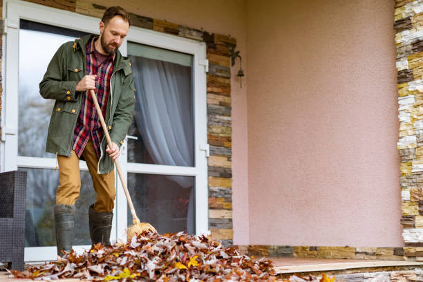 Best Yard Cleanup Services  in Springfield, KY